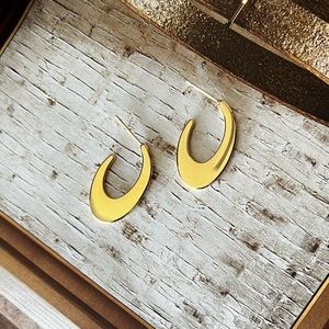 🎁 Crescent Disk Gold-Plated Hoop Earrings